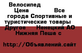 Велосипед Viva Castle › Цена ­ 14 000 - Все города Спортивные и туристические товары » Другое   . Ненецкий АО,Нижняя Пеша с.